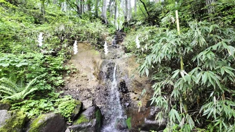 A Gently Flowing Waterfall Stock Footage 322055544