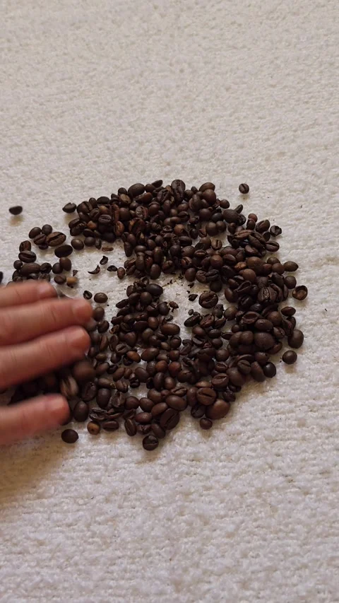 Gently Moving Coffee Beans by Hand Over a White Napkin Stock Footage 341826862