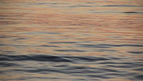 Gently rolling waves on a rippling sea Stock Footage 1127572