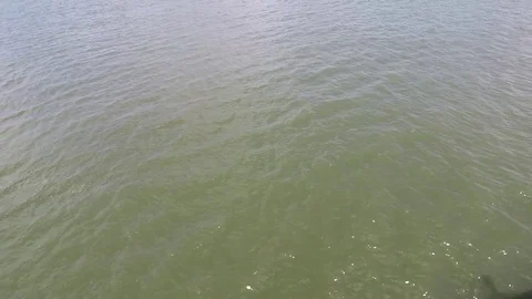 Gently Sailing Over Water Video stock 78213761