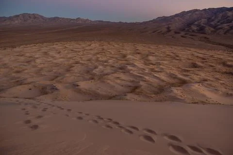 A gently sloping sand dune on the desert is marked by a trail of footprints Stock Photos