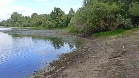 A gently sloping sandy river bank with dense bushes on a cloudy Stock Footage 320290785