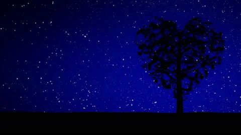Gently Swaying Heart Shaped Tree and Starry Background Stock Footage 64829552
