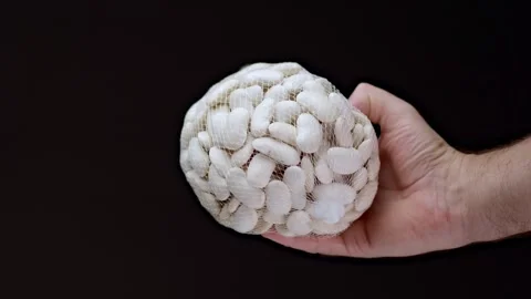Gently tossing a see-through nylon bag of white beans in the air, the slow-.. Video stock 262528064
