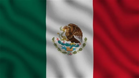 Gently Waving Mexican Flag Animation Stock Footage 315327282