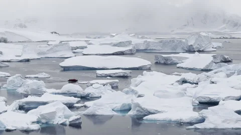 Gentoo Penguin Colony Stock Footage 234136998