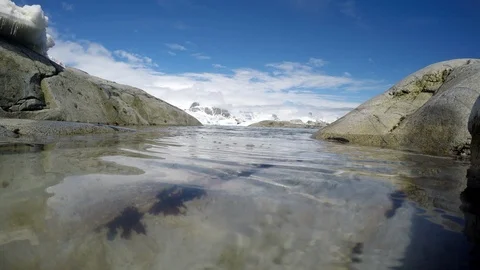Gentoo Penguins on the beach Stock Footage 100406604