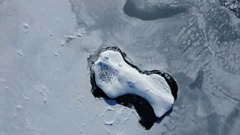 Gentoo Penguins Standing on Iceberg Surrounded by Frozen Sea, Aerial View 스톡 동영상 327816396