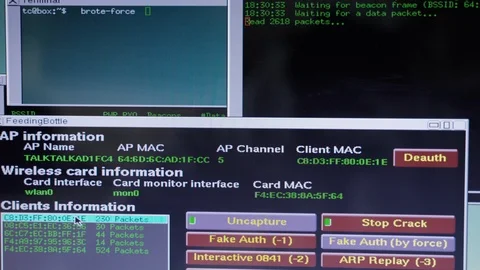 Genuine hacker tools running in multiple windows attempting launch cyber attack Stock Footage 124645702