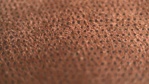 Genuine Leather Macro Background Pattern Stock Footage 260902994