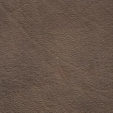 Genuine leather Stock Photos