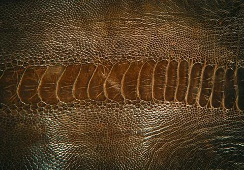 Genuine leather Stock Photos