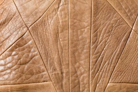 Genuine leather Stock Photos