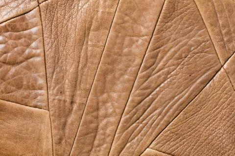 Genuine leather Stock Photos