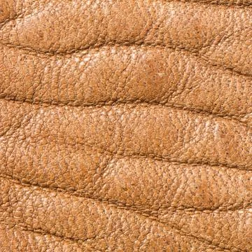 Genuine leather Stock Photos