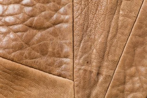 Genuine leather Stock Photos