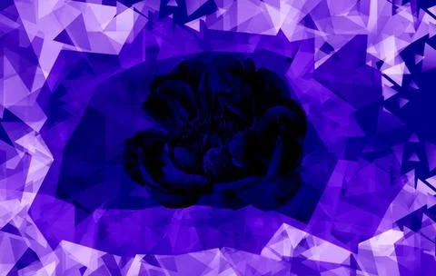 Geo digital abstrak5 Stock Illustration