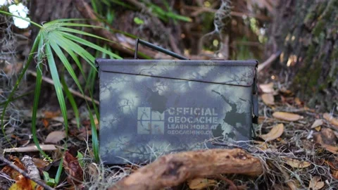 Geocache Ammocan Video stock 231332003