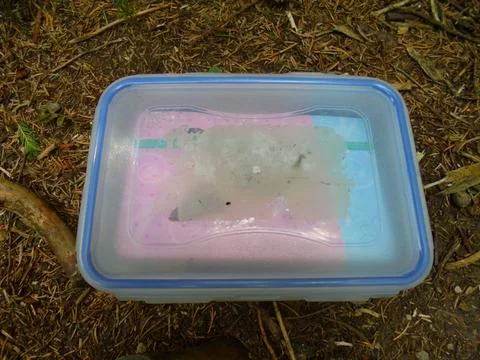 Geocache box with pink and blue logbook on coniferous forest floor, Czechia Stock Photos