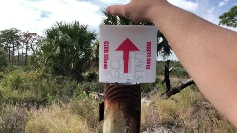 Geocaching found a container Video stock 172335913