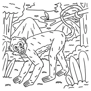 Geoffroy Spider Monkey Coloring Page for Kids Stock Illustration