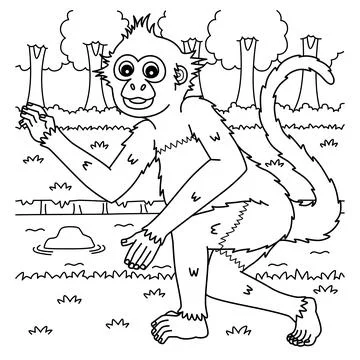 Geoffroys Spider Monkey Coloring Page for Kids Stock Illustration