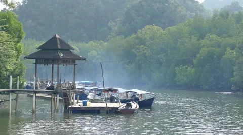 Geoforest Park Jetty Stock Footage 50581218