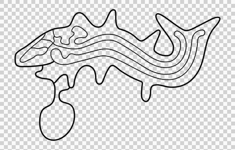 Geoglyph of the killer whale from Nazca Stock Illustration