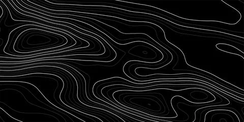 Geographic line map with elevation assignments. Contour background geograph.. Stock Illustration