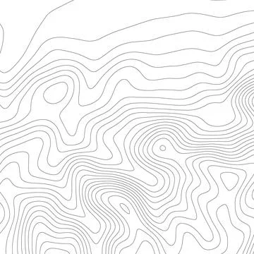 Geographic pattern. Topographic map on white background. Topo map elevation Ilustración de archivo