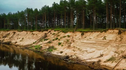 Geologic soil layers on a fault in the soil. Roots Exposed, Pines Surrender Stock Footage 257780469