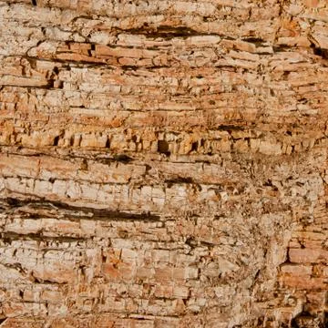 Geologic Strata Stock-Fotos