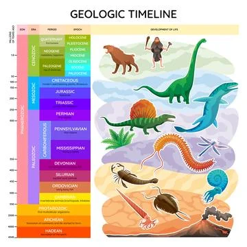 Geologic timeline scale vector illustration. Labeled earth history scheme with Stock Illustration