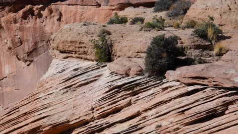 Geological formation exhibiting cross bedding in the Navajo Sandstone, a ch.. Stock Footage 340264146