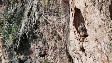 Geological Rock Formation Cliff Face Texture Detail Stock Footage 339004784
