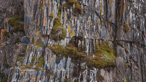 Geological rock formation with vertical structure and moss covered spots, arc Stock Footage 274306327