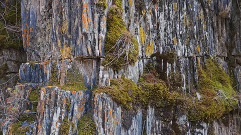 Geological rock formation with vertical structure and moss covered spots, arc Stock Footage 274306654