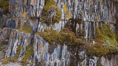 Geological rock formation with vertical structure and moss covered spots, arc Stock Footage 274457330