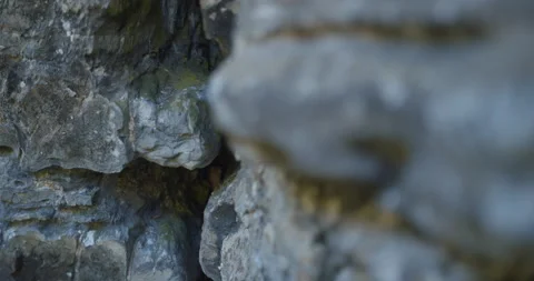 Geological rocks crack cavern /Grotte des fees /Saint-Leandre /Matane /Tilt up Stock Footage 130920663