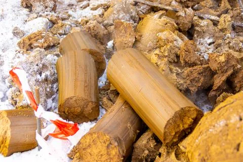 Geological soil samples extracted from subsoil for laboratory research and Stock Photos