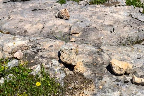 Geological structure of a section of rocky soil in a mining quarry Stock Photos