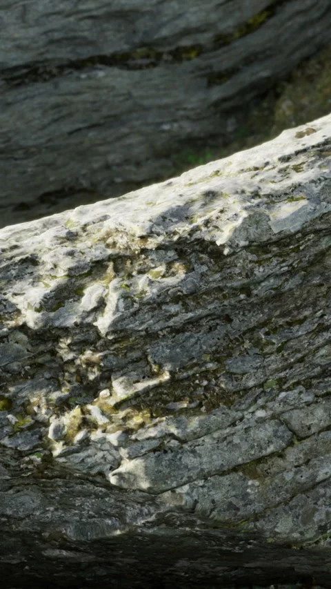 Geological structure showcasing budding fossils and stratified textures Stock Footage 326162383