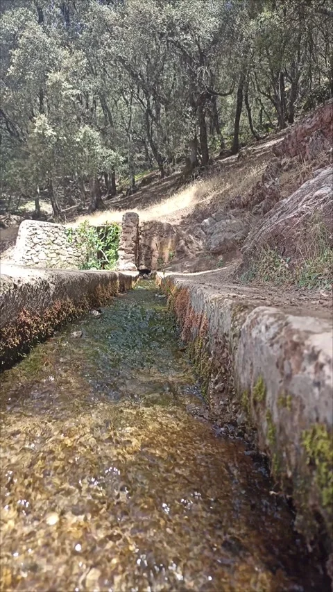 Geological Water Spring Emerging from Karst Cave Stock Footage 337854089