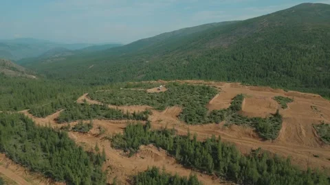 Geologists on SUVs. Pine forest in the mountains. Summer. Yakutia. Russia. 스톡 동영상 253985262
