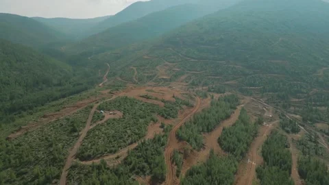 Geologists on SUVs. Pine forest in the mountains. Summer. Yakutia. Russia. Stock Footage 253985362