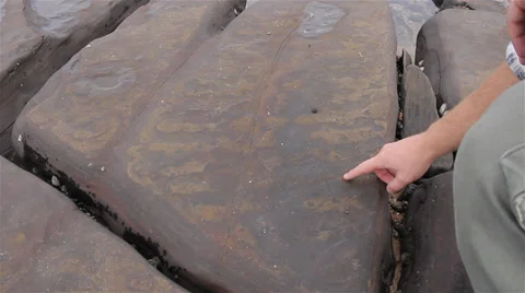 Geology - Sedimentary Structures - Ossillating Wave Ripples Stock Footage 35346148