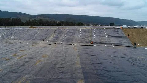 Geomembrane deployment and installation process with machinery in the const.. Stock Photos