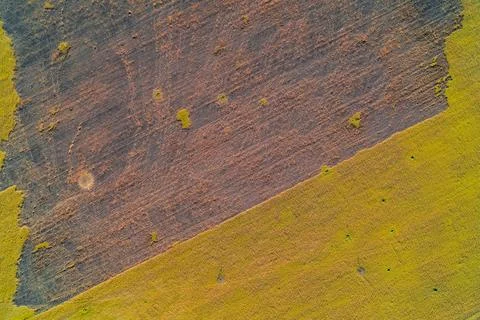 Geometric abstract of agricultural fields. Sharp diagonal line dividing scorched Stock Photos