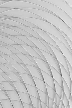 Geometric abstract background, pattern - thin light grey curved lines, grid o Illustrazione stock