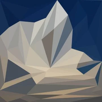 Geometric abstract background print low poly mosaic style Stock Illustration